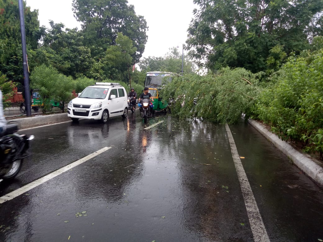 Haryana Rain Alert, Monsoon Weather Forecast Updates by IMD