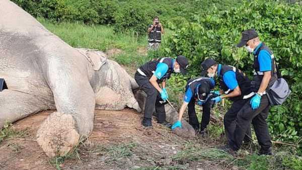  पोस्टमार्टम के लिए भेजा