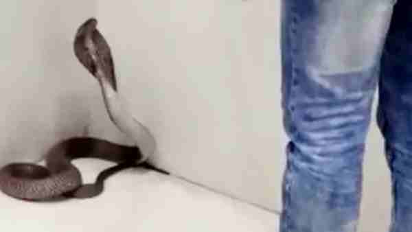 जामताड़ा से भी आई थी हैरान करने वाली घटना