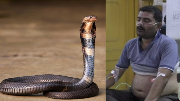  कट्टे में डालकर लाया था सांप