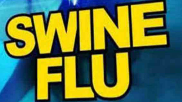 जी-4 वायरस आया सामने 