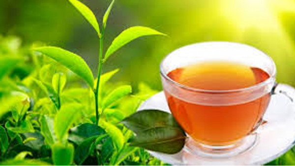 शरीर के लिए फायदेमंद है चाय