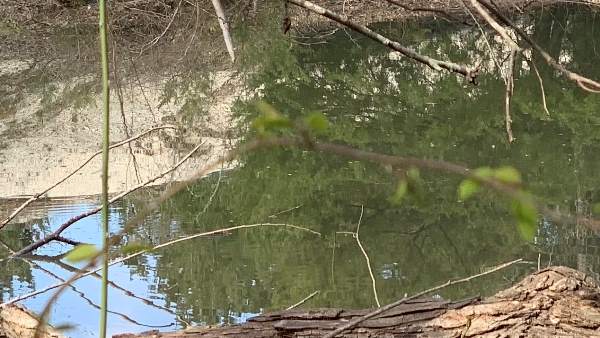 Four daughters of a same family drowning in pond in Dahod at Gujarat, all die