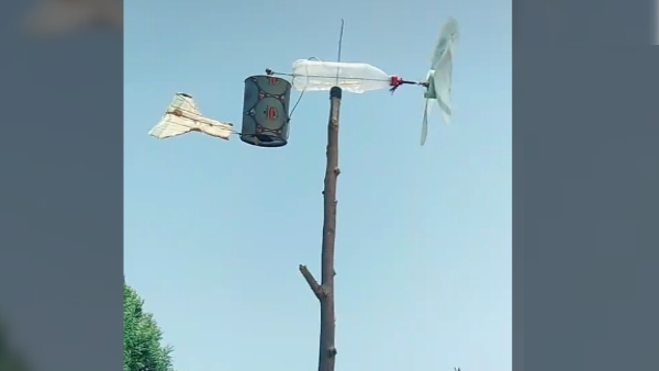 अपने स्तर पर भगा रहे टिड्डियां