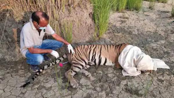 मौत से गुस्साए ग्रामीणों ने काटा बवाल