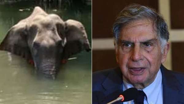 ये सुनकर मेरा मन दुखी