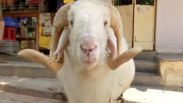 महामारी से मिलेगी निजात