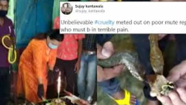 महिला ने सांप को खिलाया केक