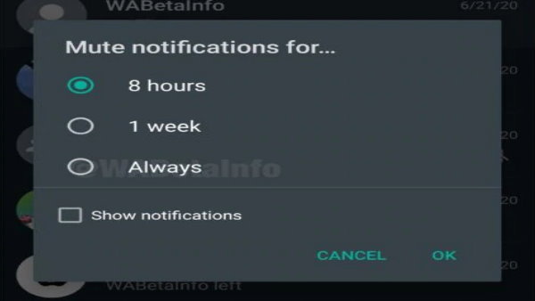 अभी सिर्फ वीटा वर्जन पर उपलब्ध 