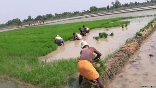 बिहार में लॉकडाउन रिटर्न्स, लेकिन इससे हासिल क्या होगा - यही है बड़ा सवाल?