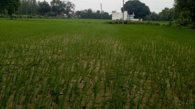 अयोध्या: मंदिर को लेकर भारी उत्साह, मस्जिद के लिए कितना जोश?