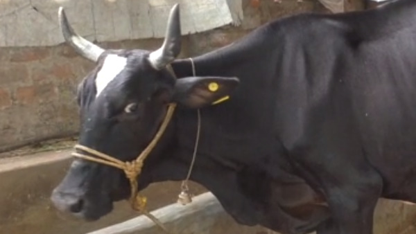 12 नंबर का अंक होगा पहचान का आधार