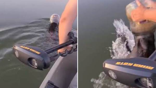 मछली पकड़ने आया था परिवार