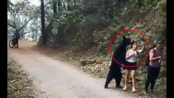 पार्क में लड़की के ऊपर चढ़ गया भालू