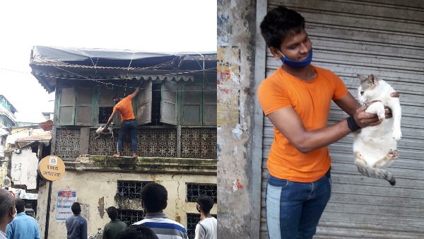 रेस्तरां की इमारत पर तारों के बीच फंसी बिल्ली