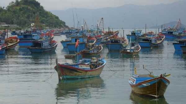 'लिविंग म्यूजियम और शोकेस फॉर इवॉल्युशन' 