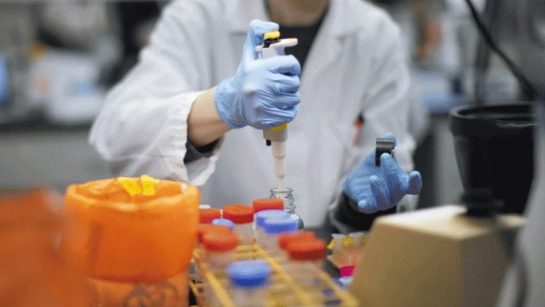 चार कैटेगरी में भाग ले सकते हैं प्रतिभागी