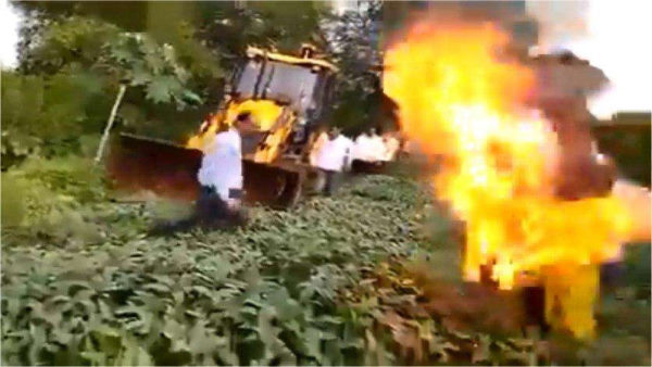 सोयाबीन की फसल पर जेसीबी न चलाने की गुहार