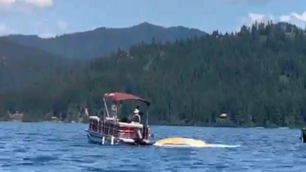 झील में बोटिंग कर रहे थे लोग झील में बोटिंग कर रहे थे लोग