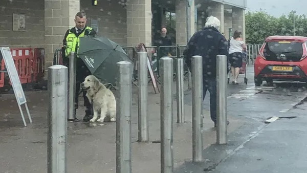 तस्वीर में गार्ड एक कुत्ते के उपर छाता ताने खड़ा दिख रहा है