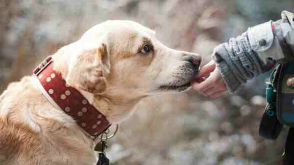 दम घुटने से मौत