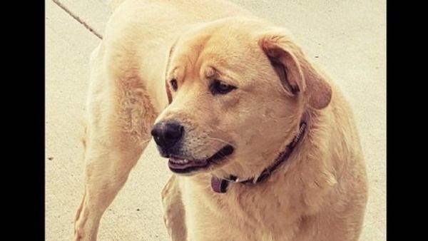 घर से हो गई थी लापता घर से हो गई थी लापता