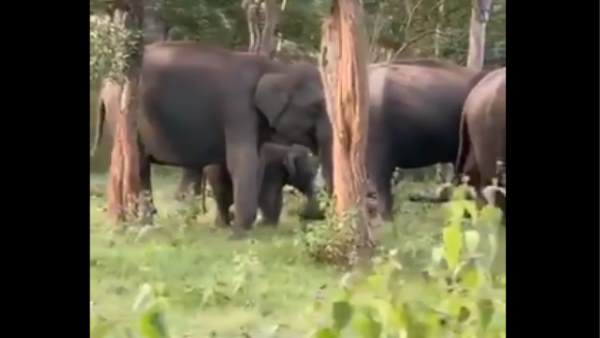 जेड+ सिक्योरिटी में रहते हैं जेड+ सिक्योरिटी में रहते हैं