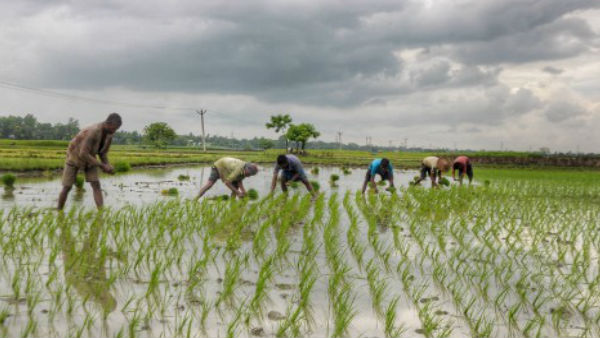PM-किसान की बेनिफिशरी लिस्ट (लाभार्थी) कैसे चेक करें? 