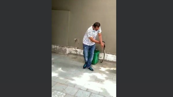 काट ले तो जानलेवा हो सकता है