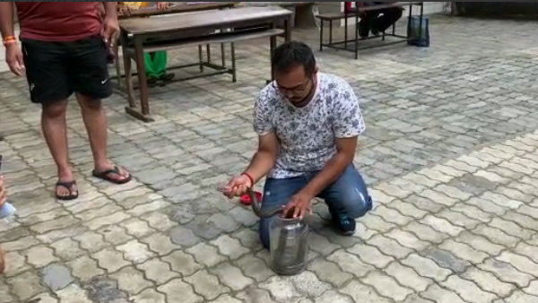 ये सांप बहुत फुर्तीला है