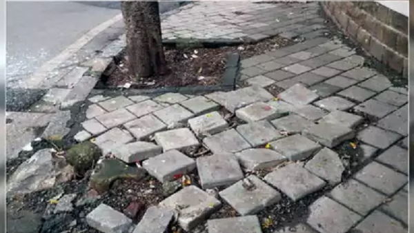 आर्ट्स में करूंगी आगे की पढ़ाई