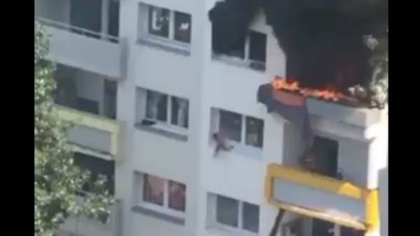 अस्पताल में कई लोगों को भर्ती कराया गया अस्पताल में कई लोगों को भर्ती कराया गया