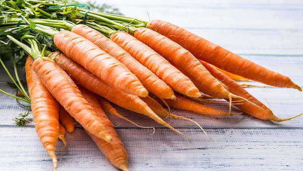 मिर्च छोड़कर लेने लगे गाजर की फसल मिर्च छोड़कर लेने लगे गाजर की फसल