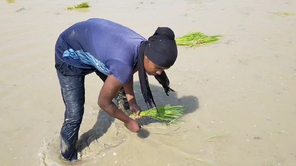 'सरकार हेल्प करे, हमें कुछ प्रोत्साहन तो दे'