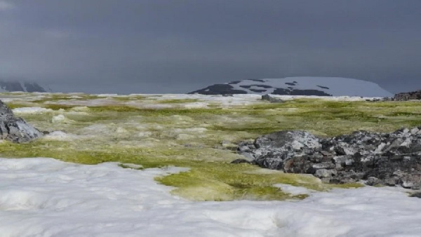 अंटार्कटिका में हो चुकी है ऐसी घटना