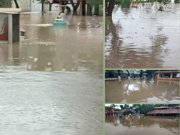Gujarat rains video: waterlogging due to floods, sticks and statues drowned in crematorium