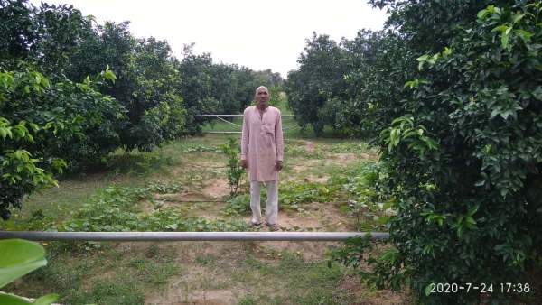  किन्नू के बगीचे की शुरुआत वर्ष 2014 से