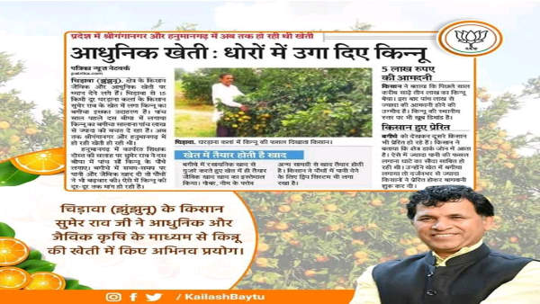  झुंझुनूं में 4 हजार हेक्टेयर में किन्नू