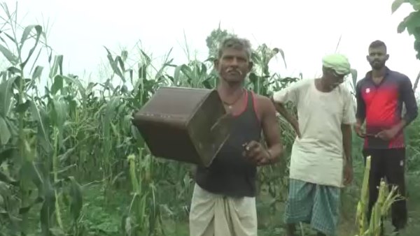 लोगों में भय का माहौल