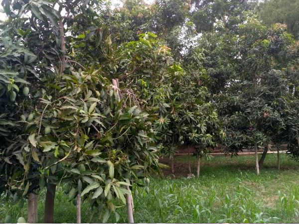 मूलत: दाहोद जिले का निवासी