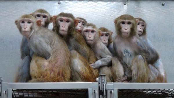 प्रोडक्ट्स को बॉयकॉट करने की मांग प्रोडक्ट्स को बॉयकॉट करने की मांग