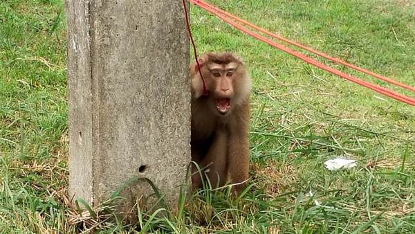 हर खेत में ऐसा नहीं हो रहा हर खेत में ऐसा नहीं हो रहा