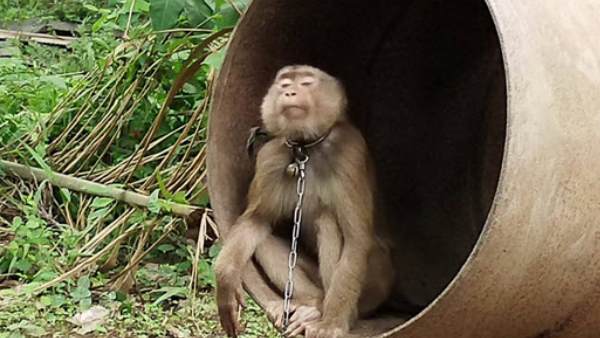 अब प्रोडक्ट पर कोड लगाने की योजना अब प्रोडक्ट पर कोड लगाने की योजना