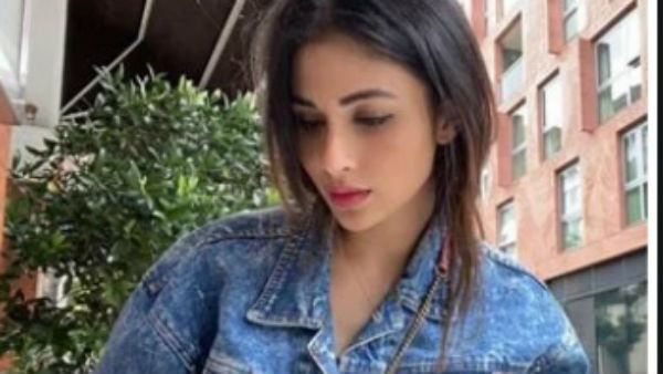 'हर किसी को नियम मानना अनिवार्य है' 'हर किसी को नियम मानना अनिवार्य है'