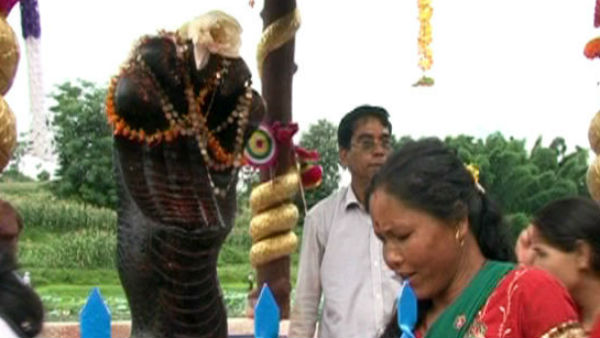 कथा-3 : नागों ने दिया किसान दंपती को जीवन का वरदान कथा-3 : नागों ने दिया किसान दंपती को जीवन का वरदान