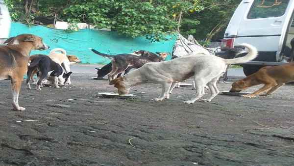 सोशल मीडिया पर भी चल रही है बहस