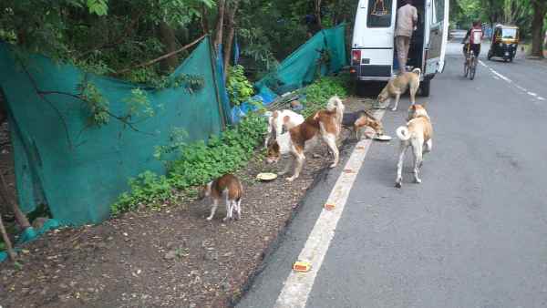 मिजोरम में पहले ही लग चुकी है बैन