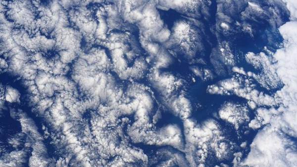 दिमाग जैसी आकृति दिखी