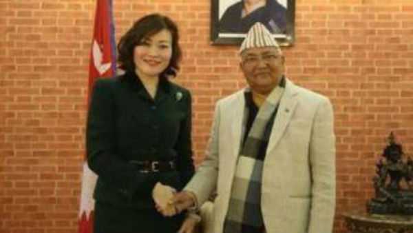 ओली को बचाने में लगी चीनी राजदूत 