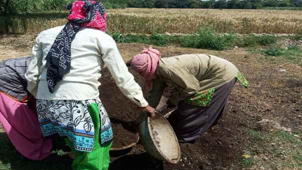  कई राज्यों मे लगवा चुकी हैं वर्मी कम्पोस्ट की यूनिट, निशुल्‍क लोगों की कर रही मदद